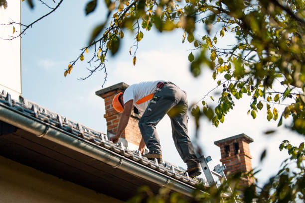 Roof Gutter Cleaning in Muskegon, MI
