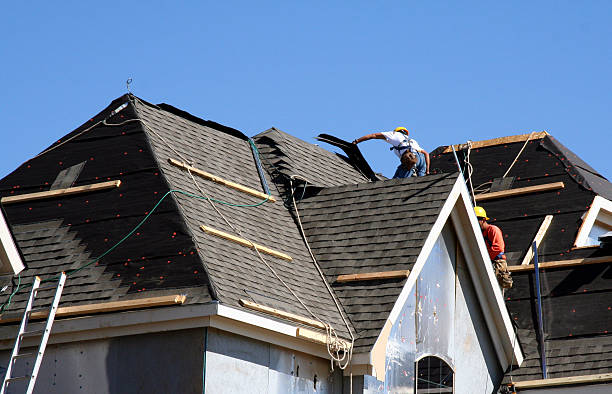 Best Roof Gutter Cleaning  in Muskegon, MI