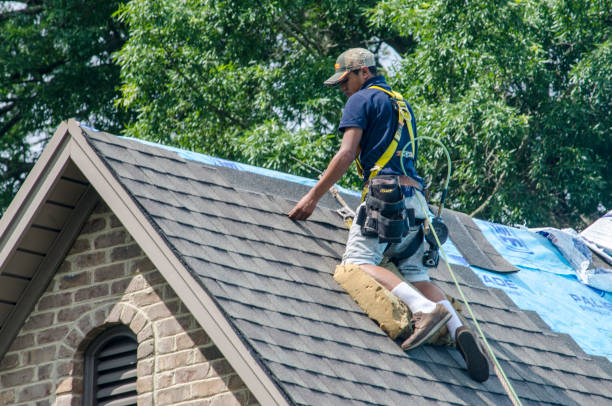Best Roof Maintenance Services  in Muskegon, MI
